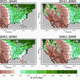 The 100th Meridian shifts east.